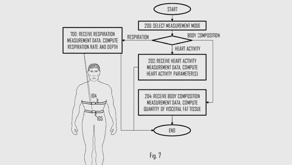 Visceral fat detection