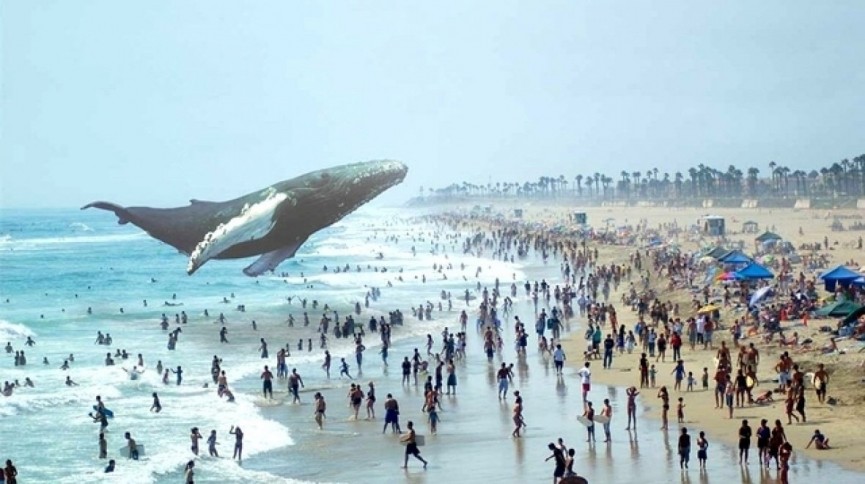 #Trending: Mixed reality and AR