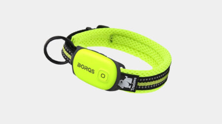 Qualcomm’s new Snapdragon 1200 wants to enable a new generation of kids trackers Qualcomm's new Snapdragon 1200 wants to enable a new generation of kids trackers