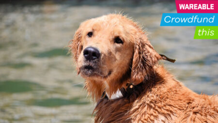 Waggit’s smart collar could one day help save dogs from cancer Waggit's smart collar could one day help save dogs from cancer
