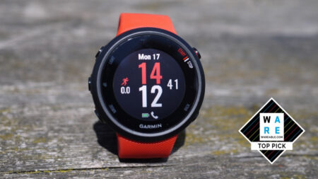 Garmin Forerunner 45 review