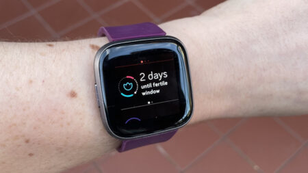 Fitbit’s menstrual health tracking tested and explained Fitbit’s menstrual health tracking tested and explained