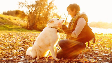 DogStar TailTalk wants you to know how your puppy feels