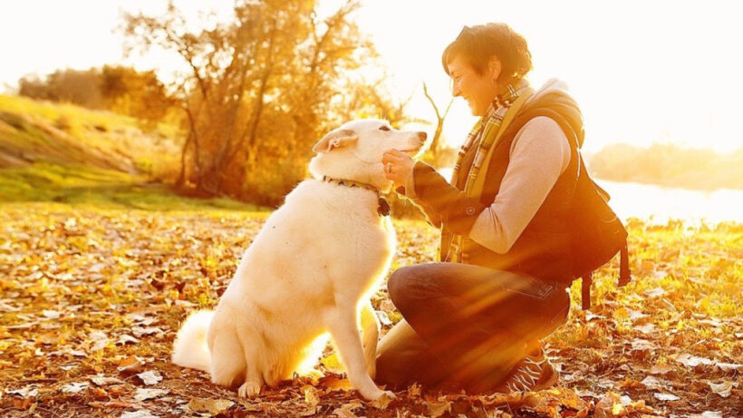 DogStar TailTalk wants you to know how your puppy feels