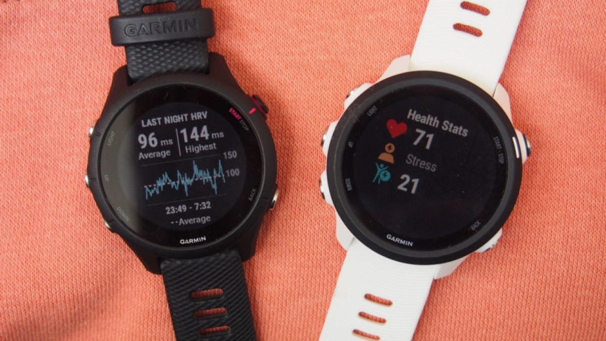 Garmin Forerunner 255 v 245: Which running watch is right? - Wareable