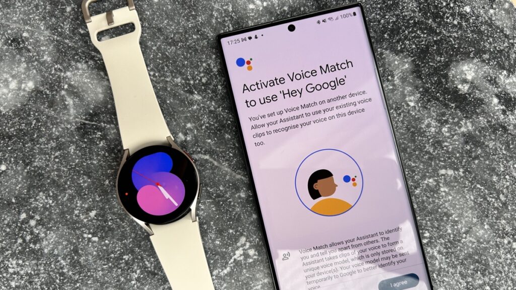 Voice match