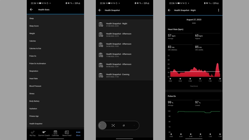 health snapshot garmin connect