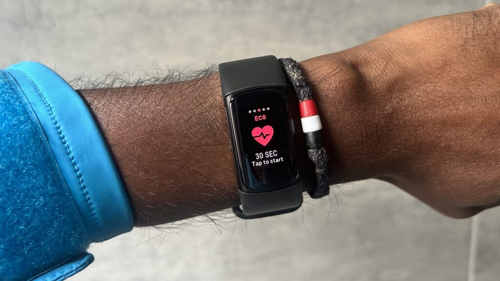 Fitbit Charge 6  step data