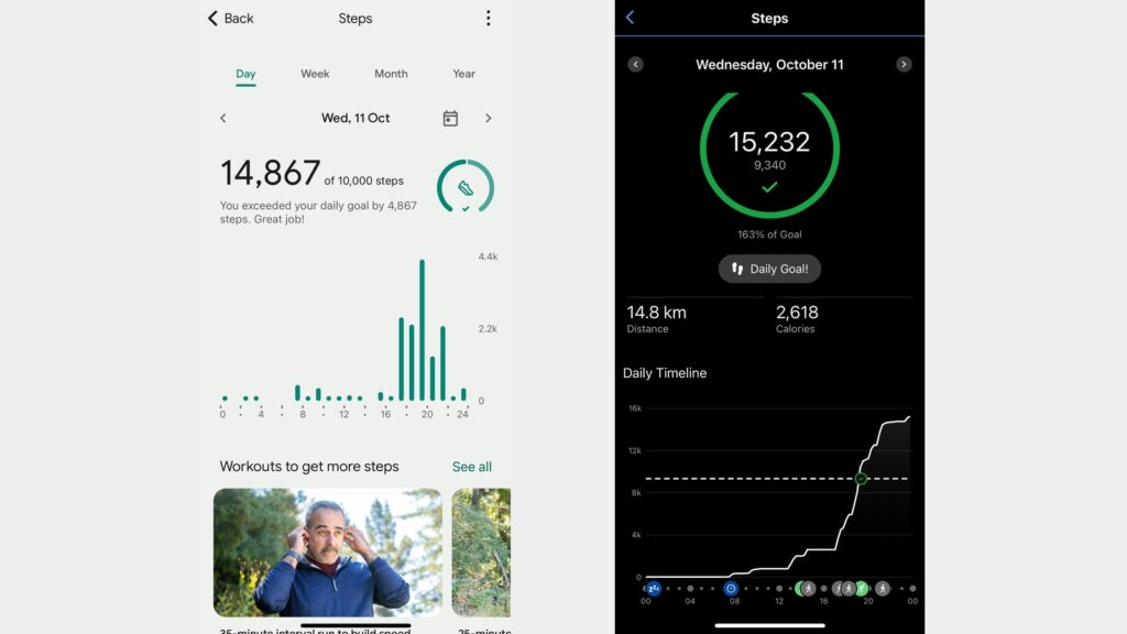 Fitbit Charge 6 data