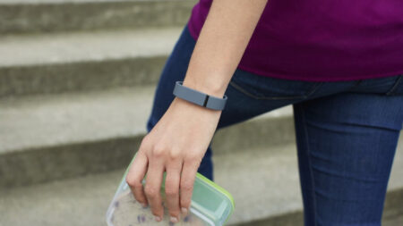 Fitbit Flex review Fitbit Flex review