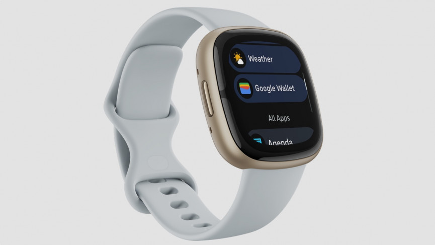 Google’s purchase of Fitbit just bore fruit – and more is to come