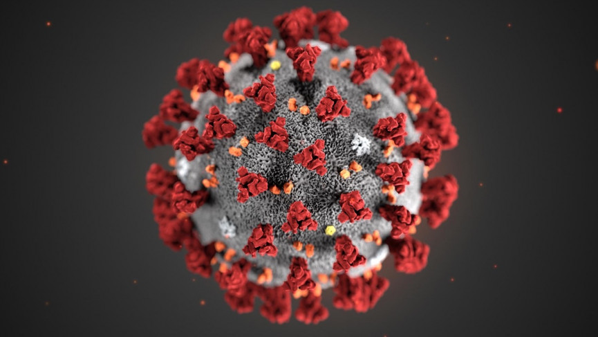 How Ava is attempting to solve the Covid-19 testing crisis