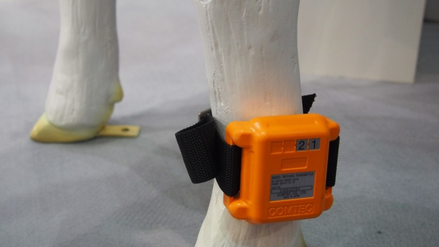 Fujitsu made a wearable for cows