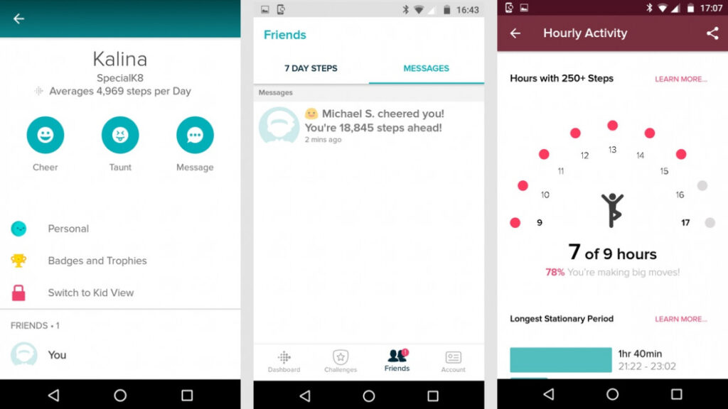 Fitbit Ace review