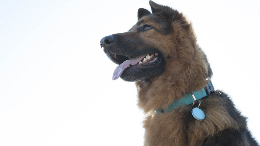 And finally: Wearables for the water park and more