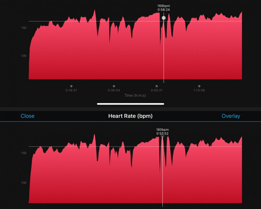 Garmin Forerunner 45 review