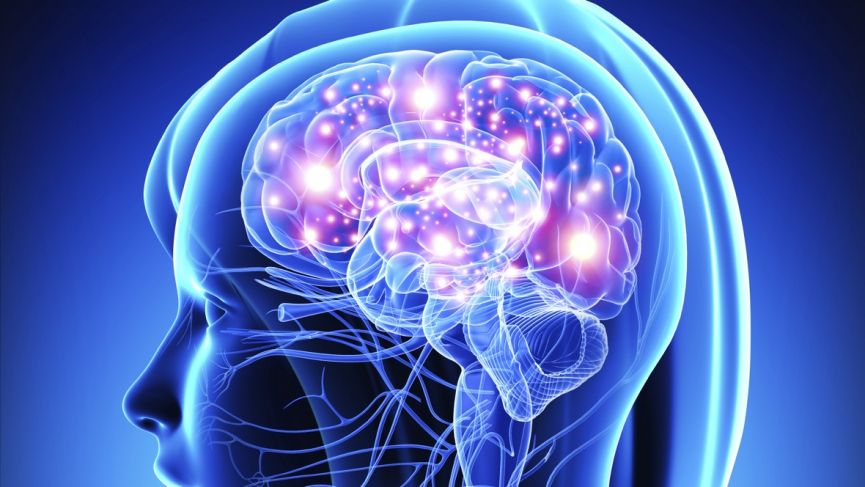 Tapping into the brain: Neuroscience wearables explained
