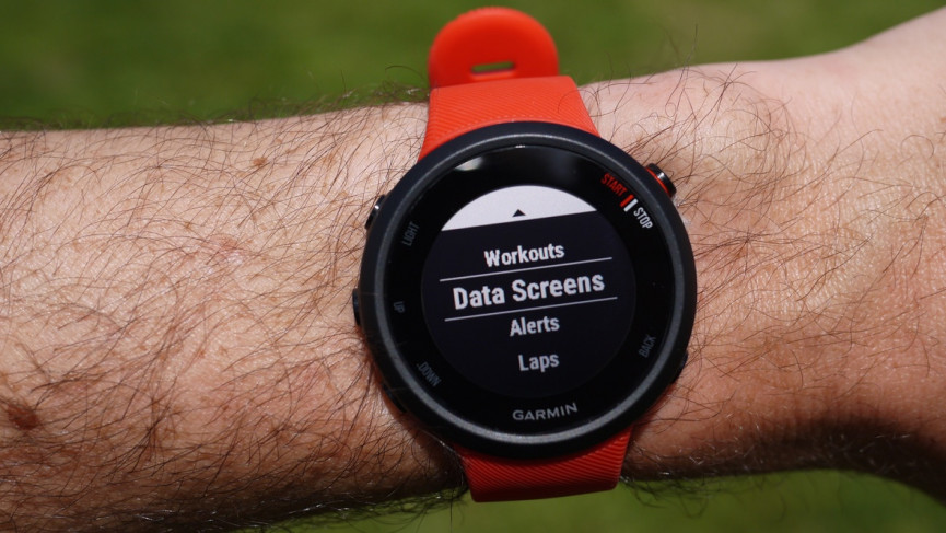 Garmin Forerunner 45 review