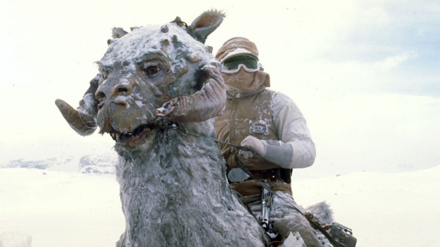 ​Star Wars-ables: 21 wearables from a galaxy far far away