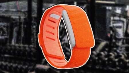 The best wearables for weightlifting and gym workouts best-wearable-for-gym