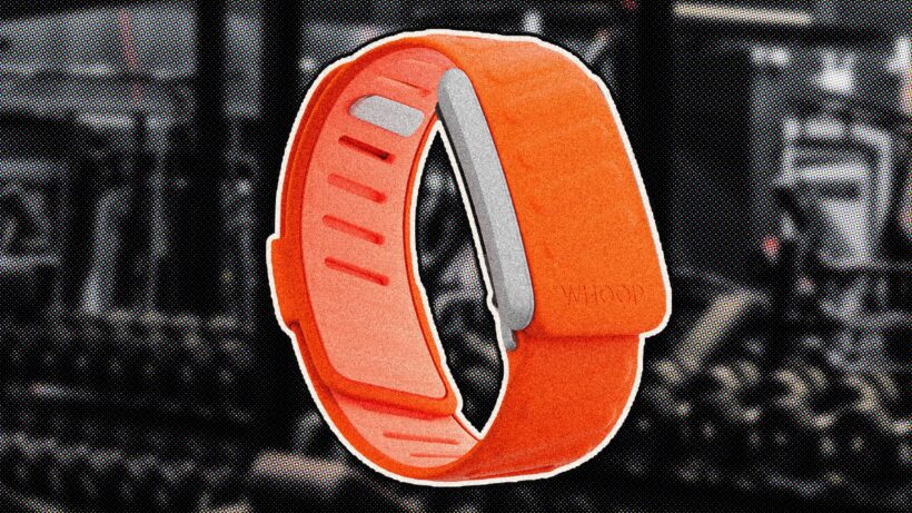 The best wearables for weightlifting and gym workouts