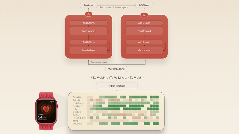 Researchers Use Apple Watch To Train A Disease detection AI even When researchers-use-apple-watch-to-train-a-disease-detection-ai-even-when